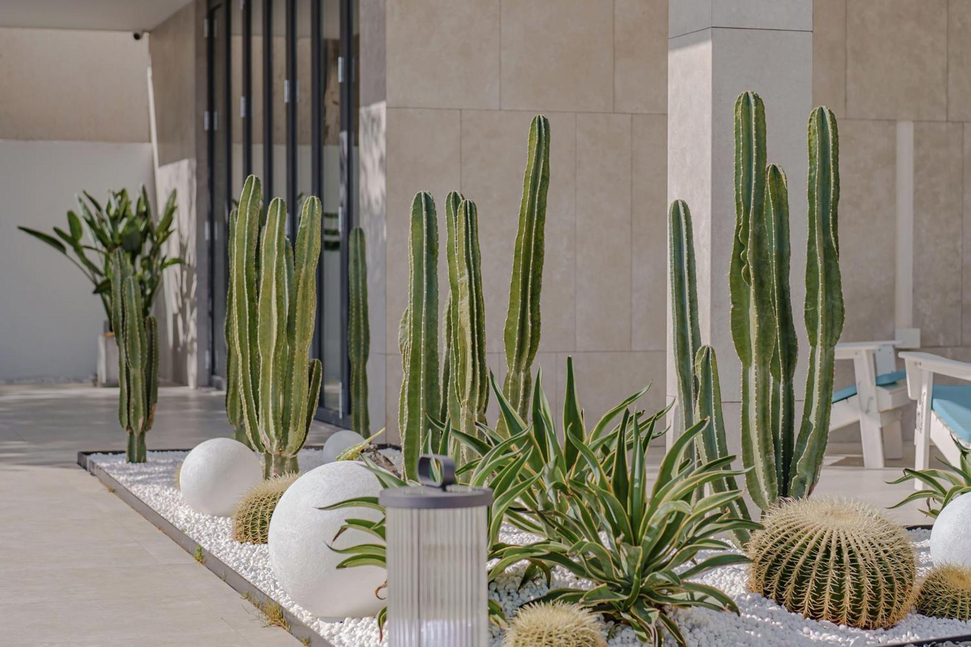 Dali Oriental Seaview Hotel -Dali Erhai エクステリア 写真